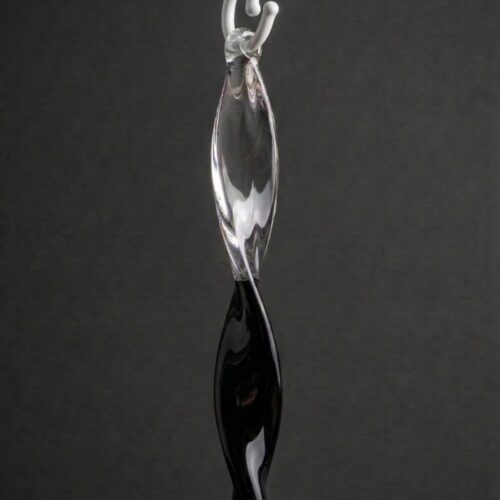 CHARME-V BLACK - WHITE RINGS