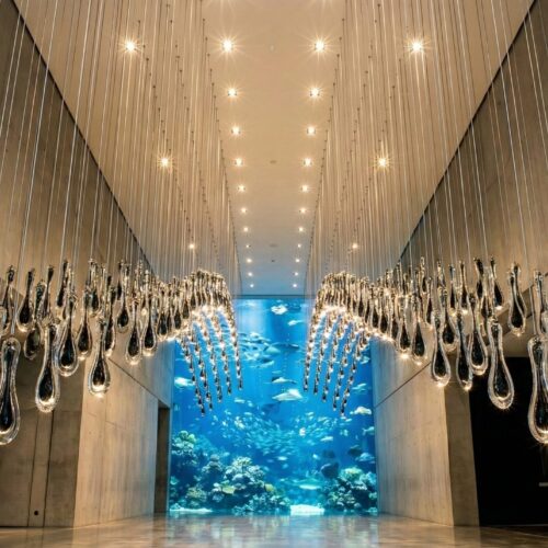 Gemini_Generated_Image_jnjopljnjopljnjo